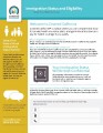 Icon of Immigration Fact Sheet