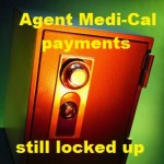 Medi-Cal enrollment reimbursement to agents delayed again.